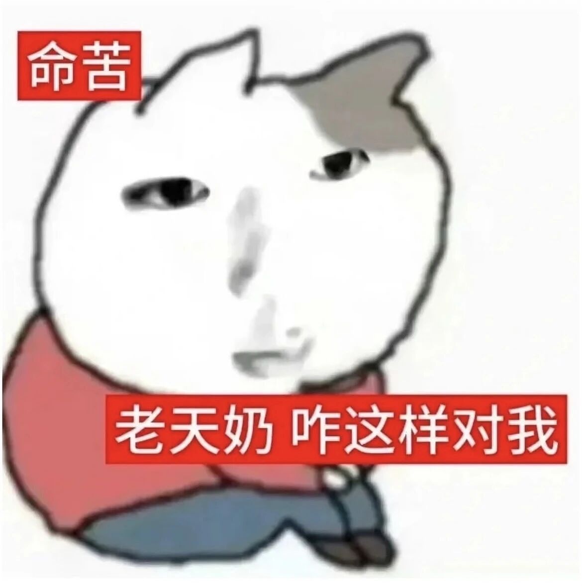 【爆笑】“把妈妈送去老年大学是种什么体验…?”哈哈哈老一辈也是吃上了时代黑利(组图) - 2