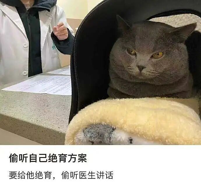 【爆笑】“把妈妈送去老年大学是种什么体验…?”哈哈哈老一辈也是吃上了时代黑利(组图) - 76
