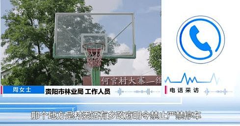 自家房屋采光被遮挡，男子给220年珍贵古树多次投毒（组图） - 13