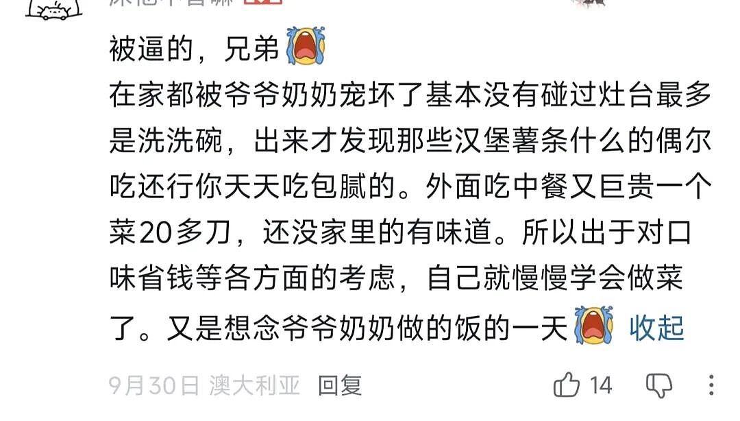 被中国留子“喂到撑死”,韩国网友感叹:为什么中国人都会做饭?澳洲华人留学生:被逼的(组图) - 28