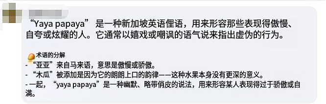 “滚回中国去”！新加坡地铁上一安哥发表种族歧视言论，引全网众怒！现场视频曝光（组图） - 6