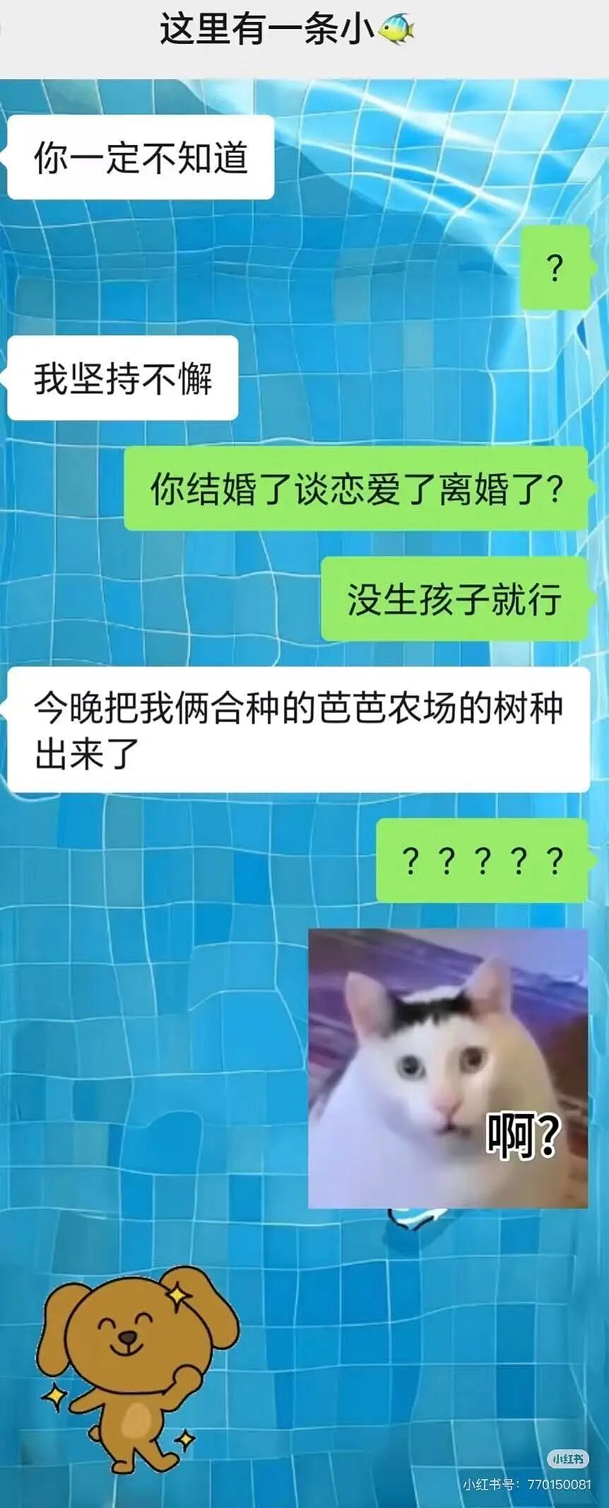 【爆笑】“把妈妈送去老年大学是种什么体验…?”哈哈哈老一辈也是吃上了时代黑利(组图) - 25