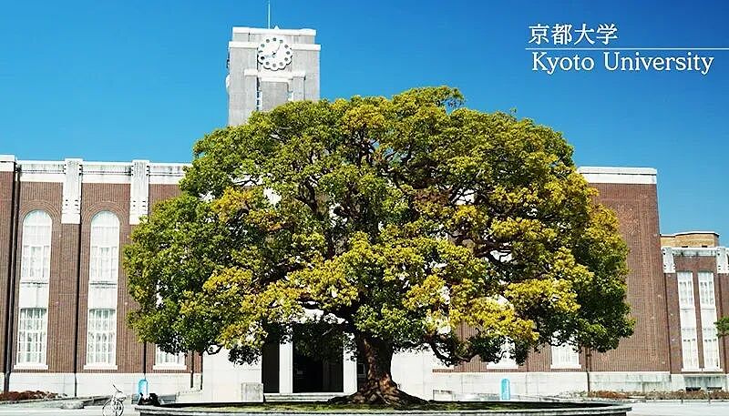 2025年诺奖出炉,这所“东亚神校”才是最大黑马(组图) - 5