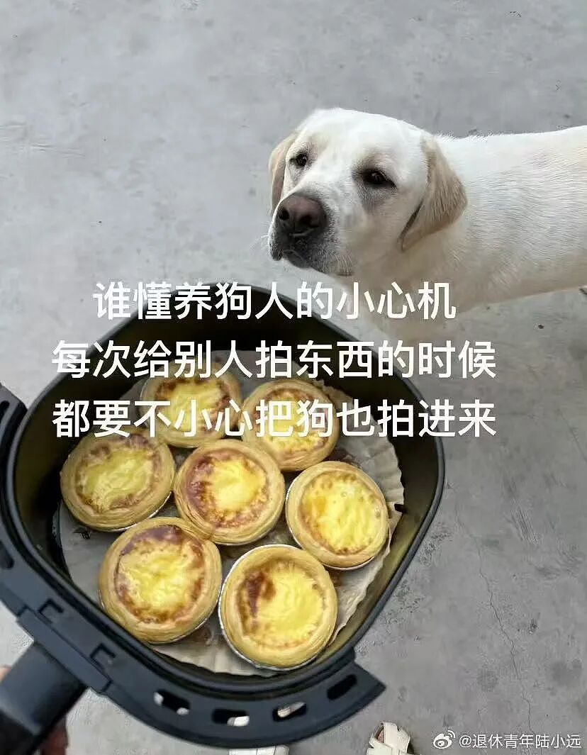 【爆笑】“花了5w装了送客风装修后......” 哈哈哈哈哈哈哈俺不中了(组图) - 60