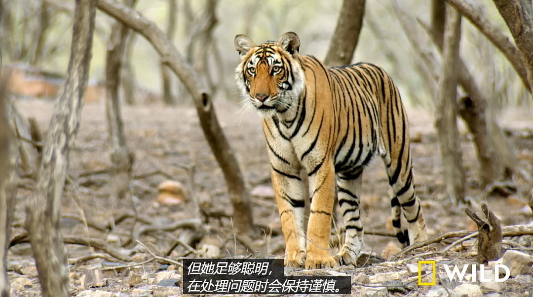 硬撑了700天,最美女王还是去世了......(组图) - 13