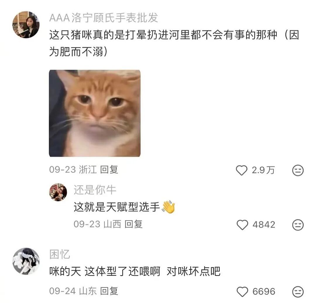 【爆笑】“花了5w装了送客风装修后......” 哈哈哈哈哈哈哈俺不中了(组图) - 77