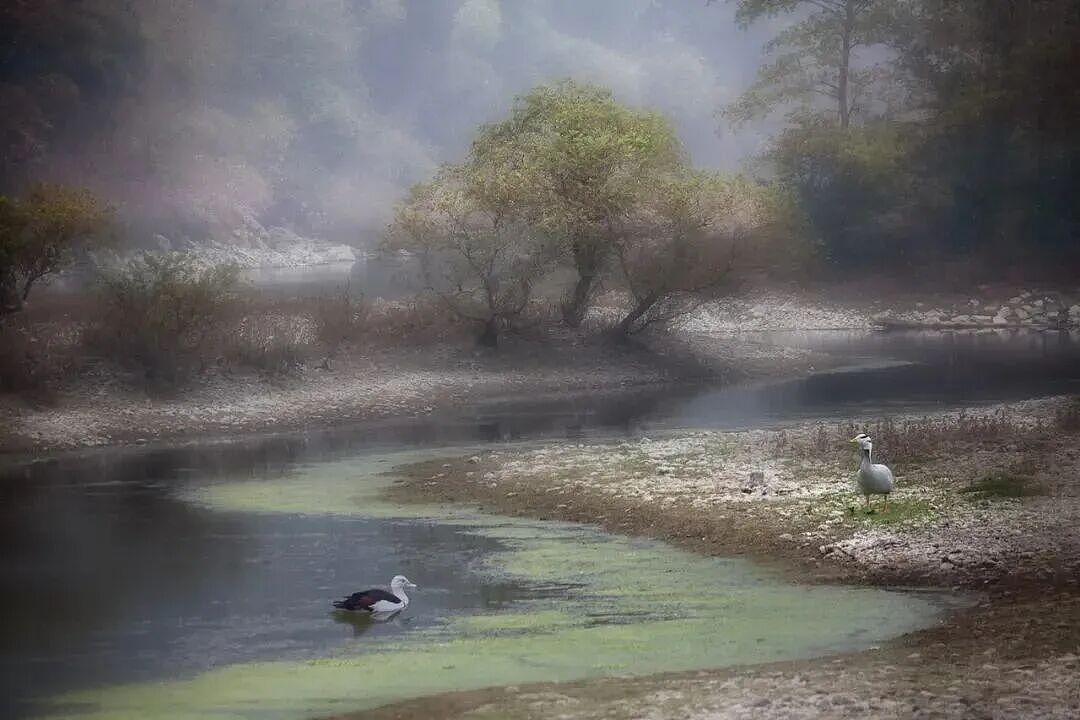 50+再嫁百亿豪门，郭晶晶婆婆现在过得好吗？（组图） - 9