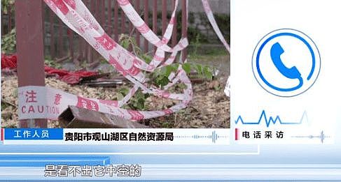 自家房屋采光被遮挡，男子给220年珍贵古树多次投毒（组图） - 11