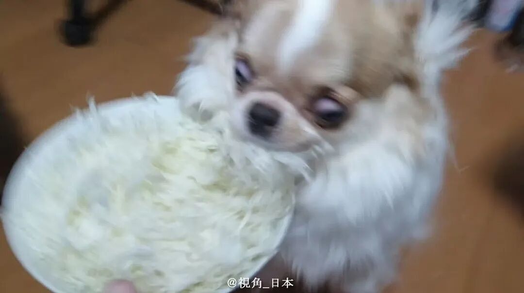 【爆笑】“花了5w装了送客风装修后......” 哈哈哈哈哈哈哈俺不中了(组图) - 44