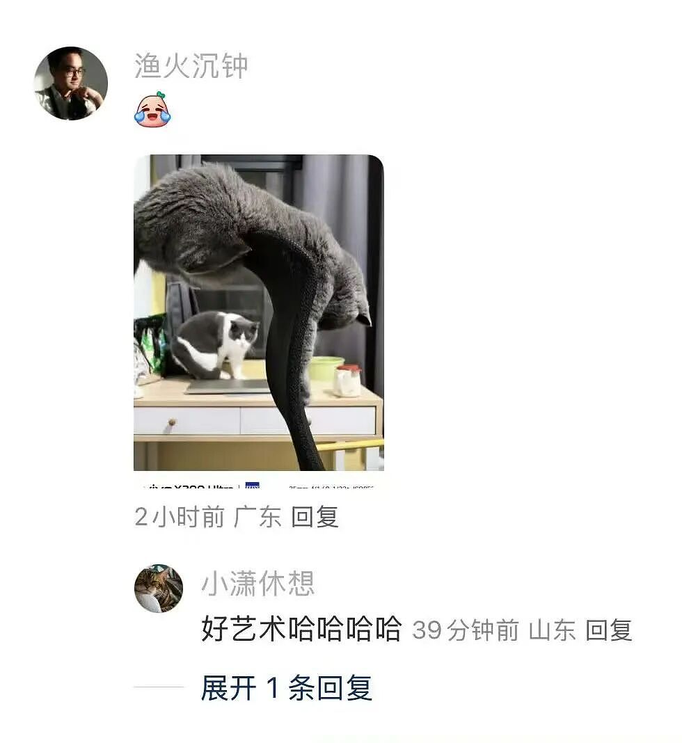 【爆笑】“花了5w装了送客风装修后......” 哈哈哈哈哈哈哈俺不中了(组图) - 111