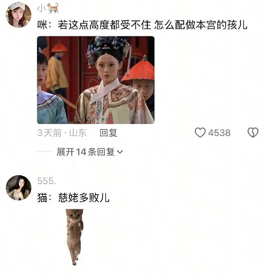【爆笑】前男友在我家门口等了一夜?我要不要见?网友害怕:不怕死就去? (组图) - 29