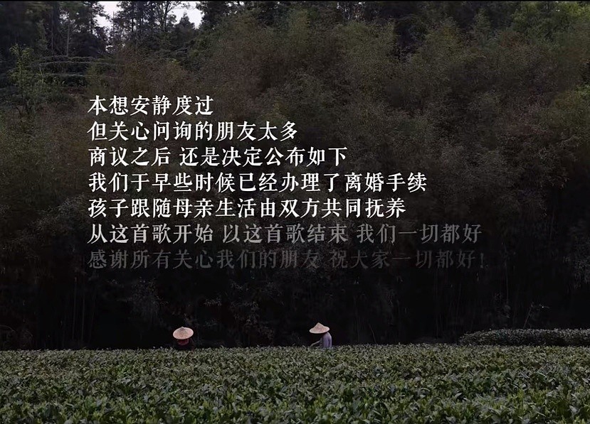 李亚鹏官宣离婚！结束与海哈金喜3年婚姻，孩子跟着母亲生活二人共同抚养（视频/组图） - 3