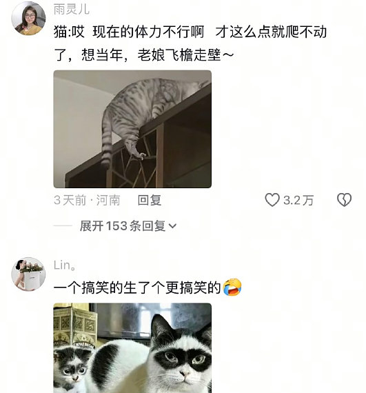 【爆笑】前男友在我家门口等了一夜?我要不要见?网友害怕:不怕死就去? (组图) - 28