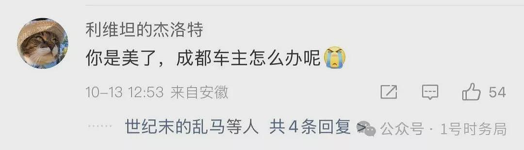 小米SU7又爆燃!雷军,是时候停下看看后视镜了(组图) - 9
