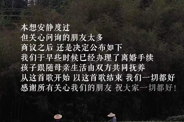 李亚鹏宣布离婚!跟海哈金喜结婚不到5年,网友质疑是为了躲债(组图) - 2