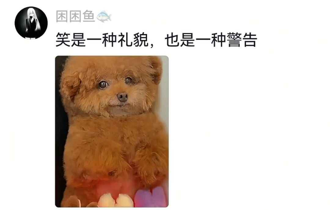 【宠物】主人突然狗叫一声,想看看自家毛孩子的反应,没想到狗子满脸惊恐:你都瞒着我当个哑巴吗(组图) - 9