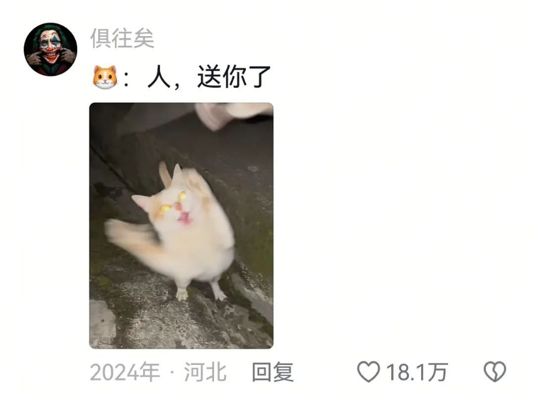 【宠物】主人突然狗叫一声,想看看自家毛孩子的反应,没想到狗子满脸惊恐:你都瞒着我当个哑巴吗(组图) - 14