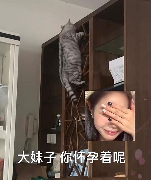 【爆笑】前男友在我家门口等了一夜?我要不要见?网友害怕:不怕死就去? (组图) - 26