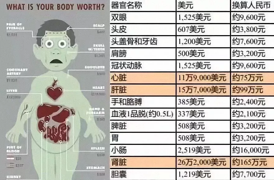 手术医生曝光人濒死前最后一幕：如果你不爱自己，来看看身体怎样爱你（组图） - 6