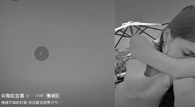 李亚鹏海哈金喜离婚早有预兆!女方无意说漏嘴,婚姻不能只有爱情(组图) - 17