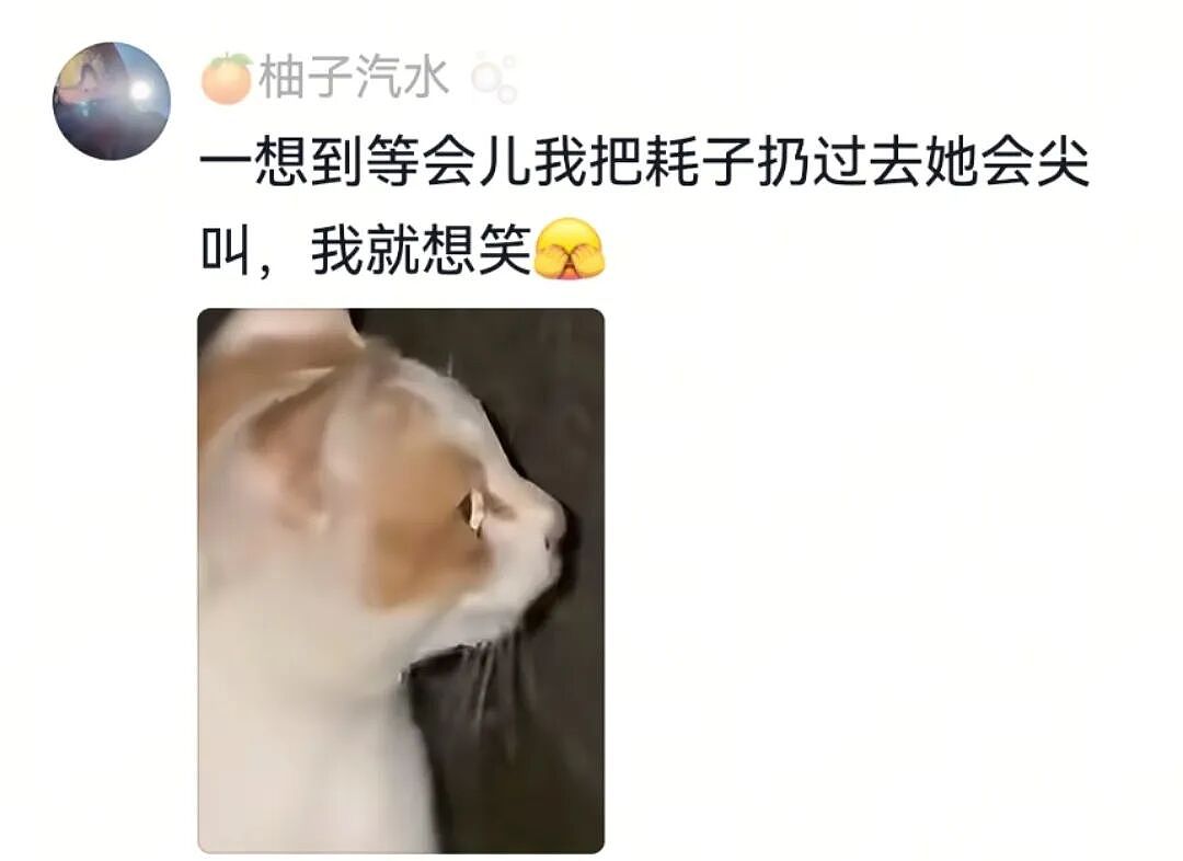 【宠物】主人突然狗叫一声,想看看自家毛孩子的反应,没想到狗子满脸惊恐:你都瞒着我当个哑巴吗(组图) - 13