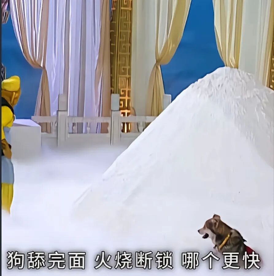 【宠物】主人突然狗叫一声,想看看自家毛孩子的反应,没想到狗子满脸惊恐:你都瞒着我当个哑巴吗(组图) - 19