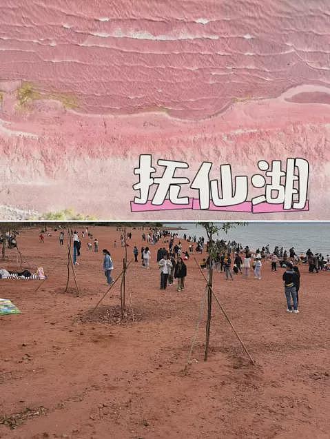 “AI让我花1000多块,去了一个根本不存在的景点“(组图) - 6