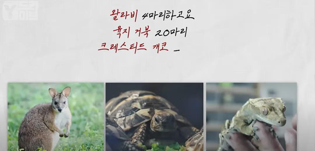 轰动全韩！00后女网红离奇惨死，凶手竟是榜一大哥（组图） - 13