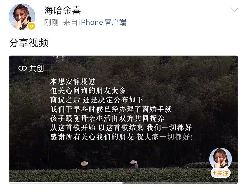 李亚鹏官宣离婚！结束与海哈金喜3年婚姻，孩子跟着母亲生活二人共同抚养（视频/组图） - 2