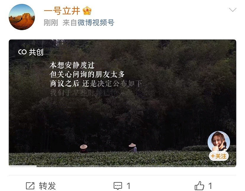 李亚鹏官宣离婚！结束与海哈金喜3年婚姻，孩子跟着母亲生活二人共同抚养（视频/组图） - 1