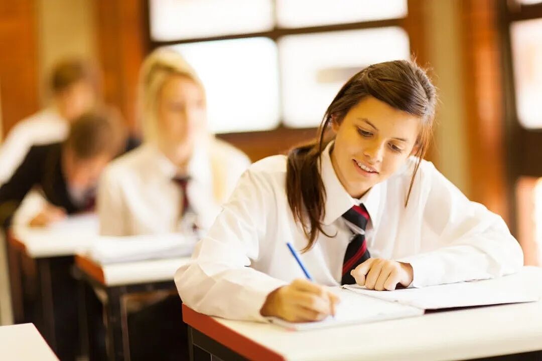 即将开考！HSC学科性别分化加剧！女生主导高阶英语，男生在数学领域占优（组图） - 15