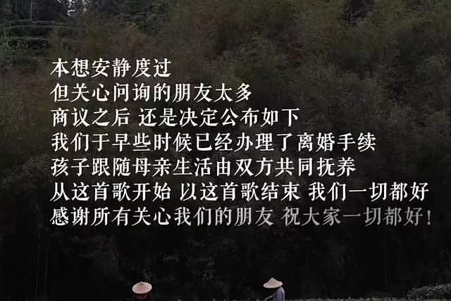 李亚鹏与娇妻离婚!女方近期动态充满伤感,晒落泪照直言心情复杂(组图) - 2