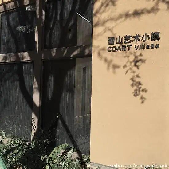 李亚鹏又离婚了,网友:“干啥啥不行,xx第一名”(组图) - 5
