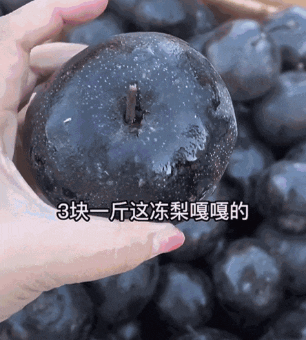 刚从东北回来，不知当讲不当讲（组图） - 14