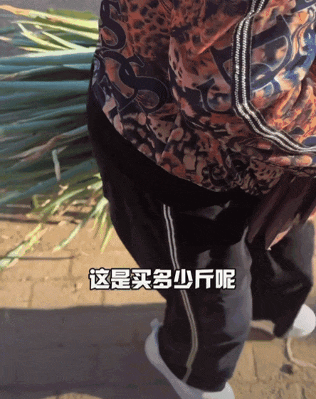 刚从东北回来，不知当讲不当讲（组图） - 15