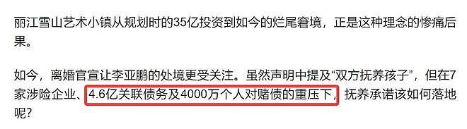 曝李亚鹏离婚内情，海哈金喜提的，欠债是主因，长期分居感情变淡（组图） - 7