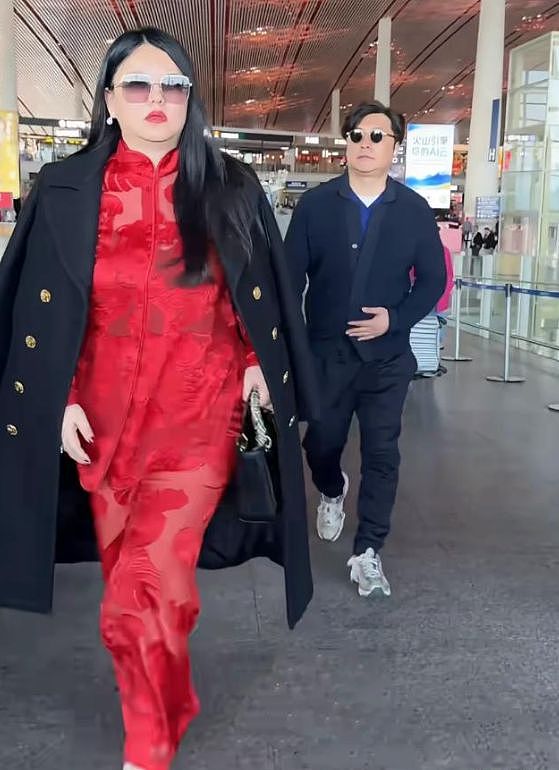 李湘王岳伦一起回国，拎4万手提包，全身照吓到网友：像座山雕（组图） - 4