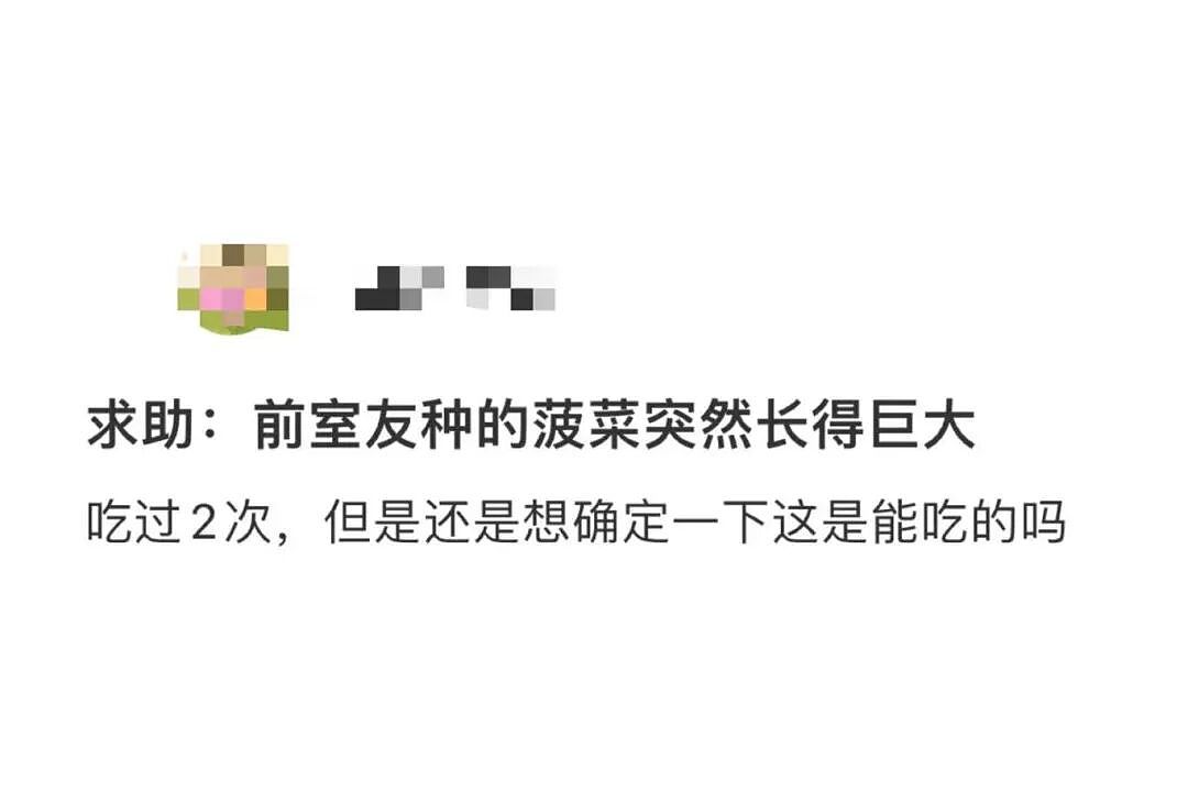 【爆笑】男朋友每天坐两小时公交接我下班好感动?啊啊啊评论区两极分化太严重(组图) - 25
