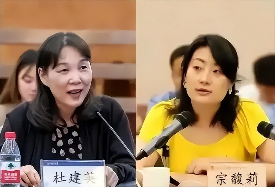 宗馥莉削藩失败，辞去娃哈哈职务创新牌，杜建英之子或成新继承人（组图） - 9