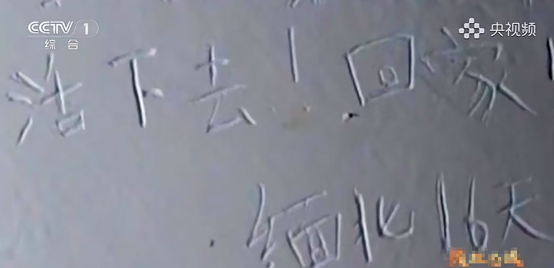 29岁“名媛”被判死刑!她的两张脸,比画皮还惊心(组图) - 7