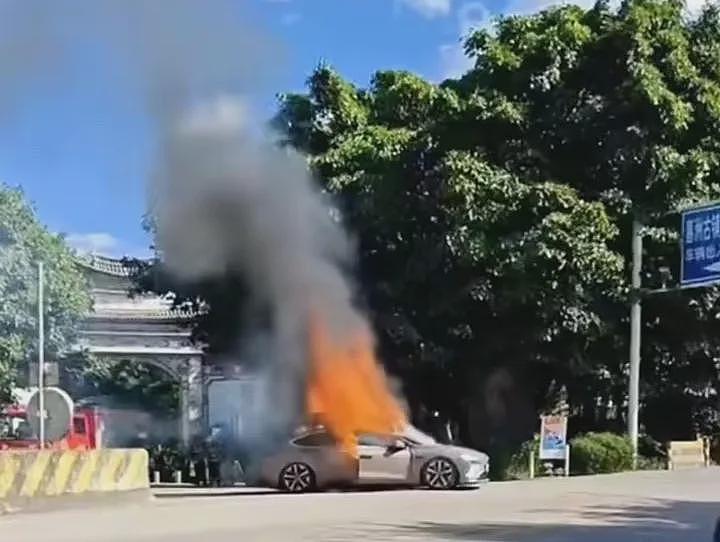 现场画面曝光！一辆蔚来在景区外起火，目击者称“听见一声巨响”，车上一家四口逃生……（视频/组图） - 3