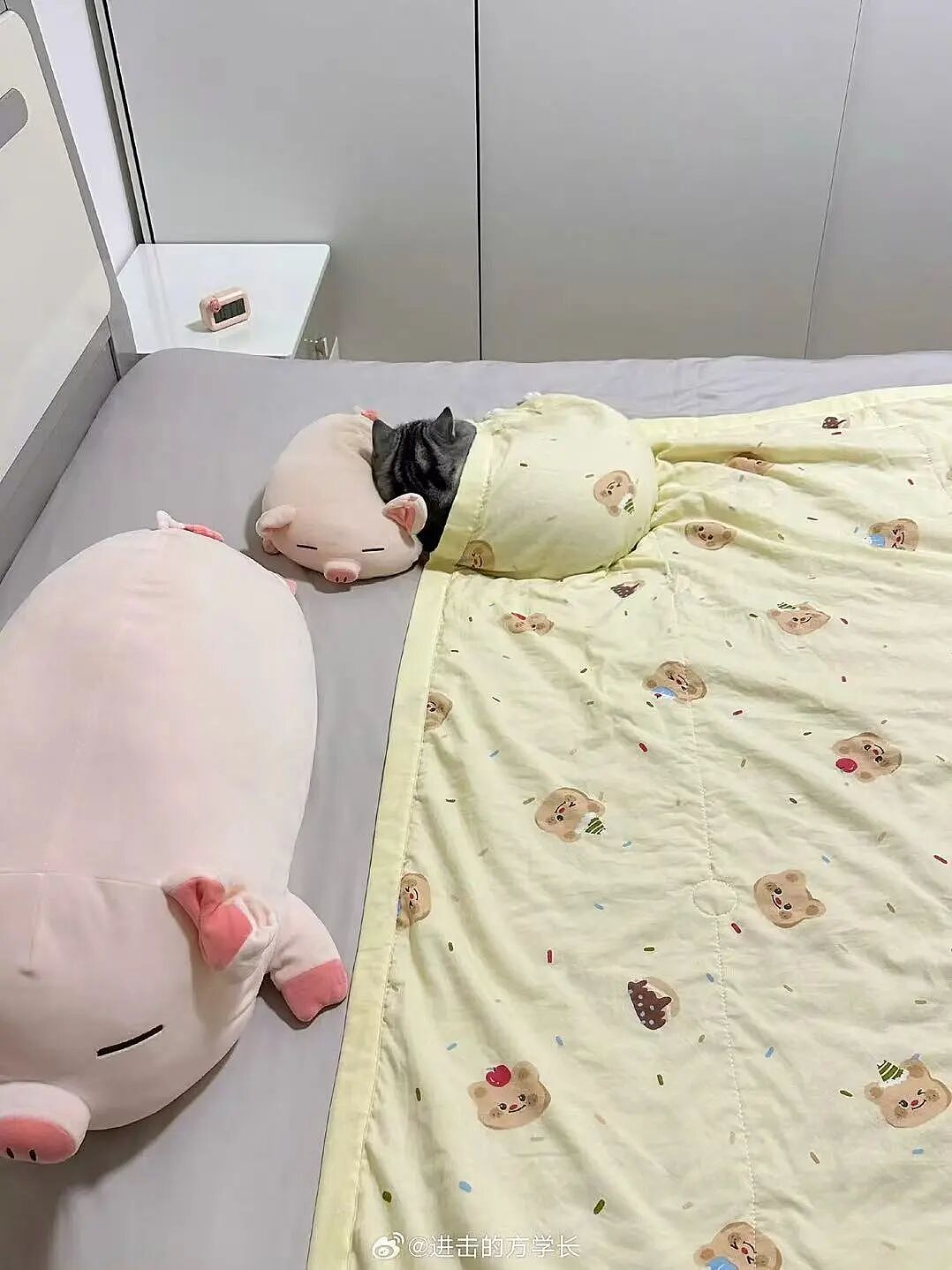 【爆笑】男朋友每天坐两小时公交接我下班好感动?啊啊啊评论区两极分化太严重(组图) - 27