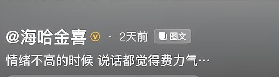 李亚鹏官宣和小19岁妻子离婚!离婚原因被扒,细节早见端倪(组图) - 5