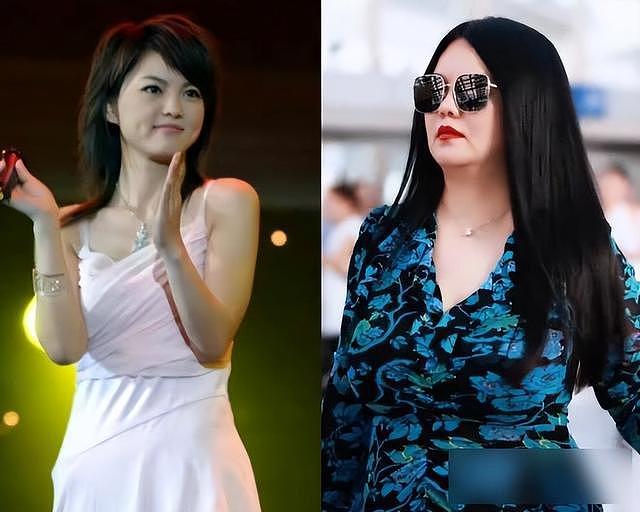回国大变样,李湘180斤胖成洪晃,前夫像助理,机场生图引争议(组图) - 3