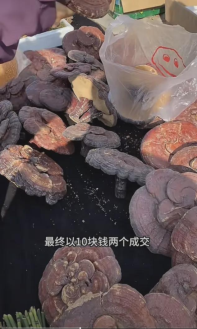 刚从东北回来，不知当讲不当讲（组图） - 12