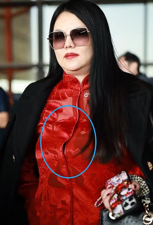 李湘王岳伦一起回国，拎4万手提包，全身照吓到网友：像座山雕（组图） - 9