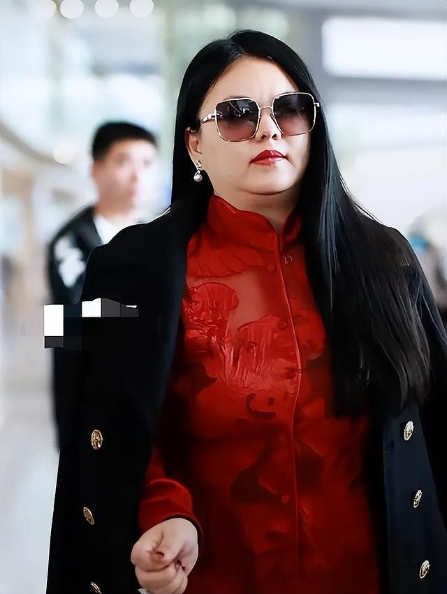 回国大变样,李湘180斤胖成洪晃,前夫像助理,机场生图引争议(组图) - 9