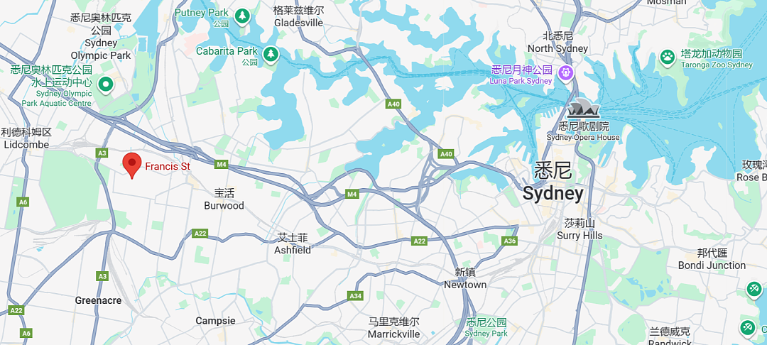 生命垂危！71岁澳洲华人女子带6岁外孙散步时，被一白人男子殴打（组图） - 1