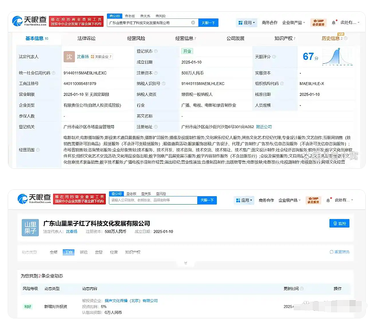 王诗龄16岁生日戴贵价珠宝，新一代星二代变赛道，站着就把钱赚了（组图） - 12