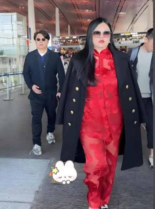李湘王岳伦一起回国，拎4万手提包，全身照吓到网友：像座山雕（组图） - 10